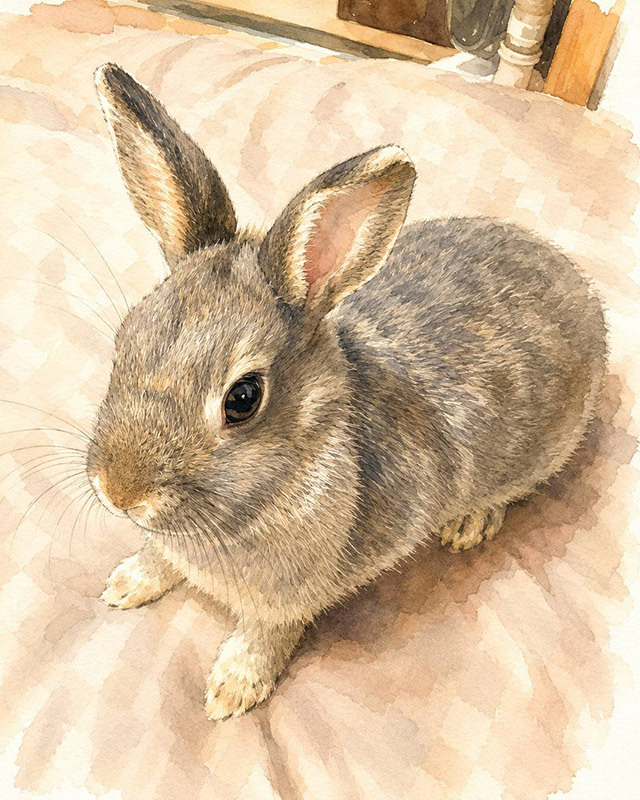ラパンの家のうさぎ：ぎん