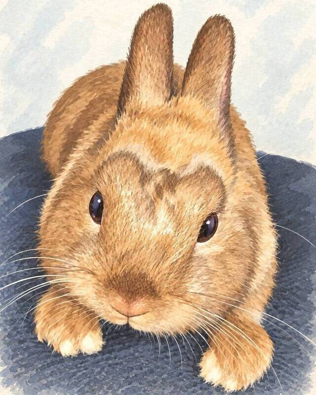 くまごろう